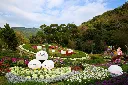 陽明山國家公園.webp
